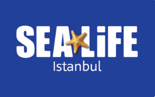 Sea Life Aile Paketi 3